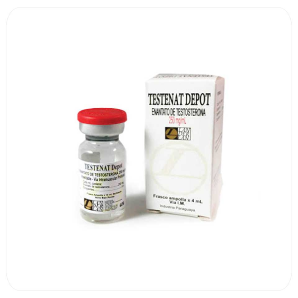 Vial de Testenat Depot Landerlan 250 mg 4 ml original, testosterona enantato para culturismo profesional.